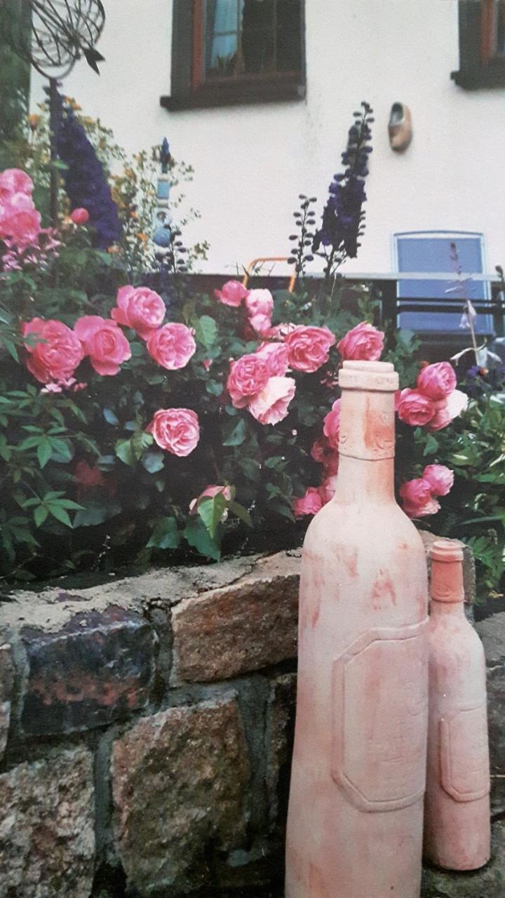 Stutzengrun Landhotel "Lichte Aue" Lichtenau מראה חיצוני תמונה