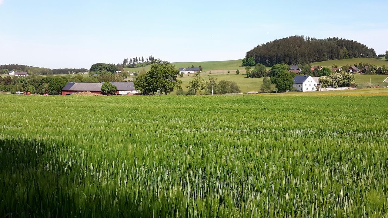 Stutzengrun Landhotel "Lichte Aue" Lichtenau מראה חיצוני תמונה